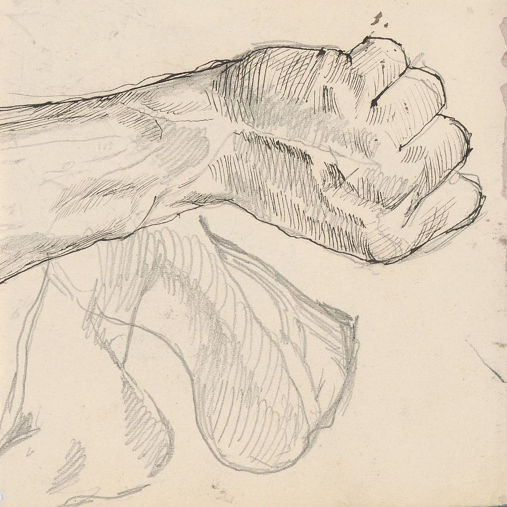 Study of the hand