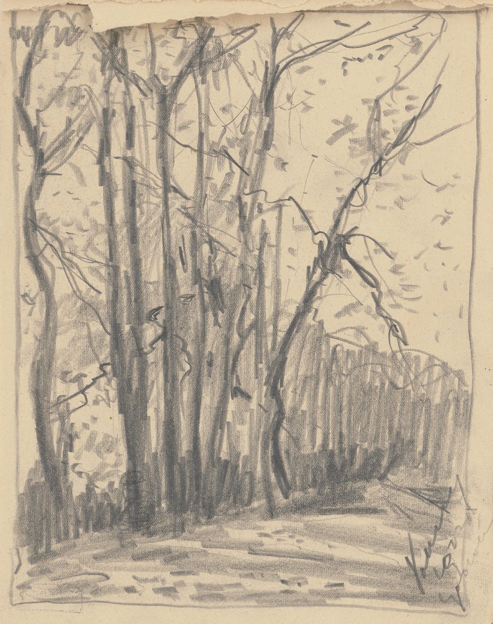 Study of trees by the road by Zolo Palugyay