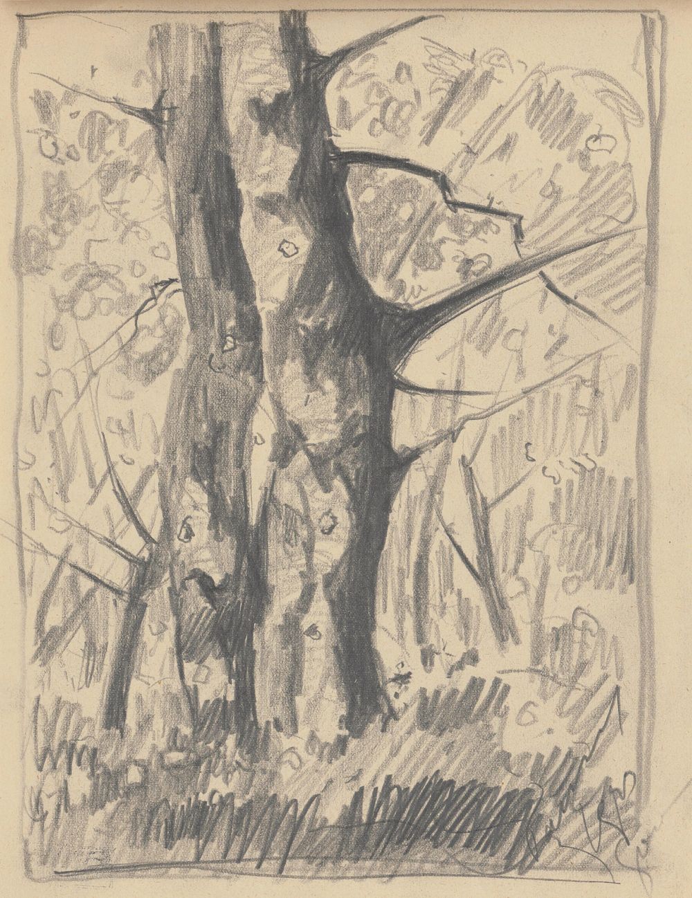 Study of a withered tree by Zolo Palugyay