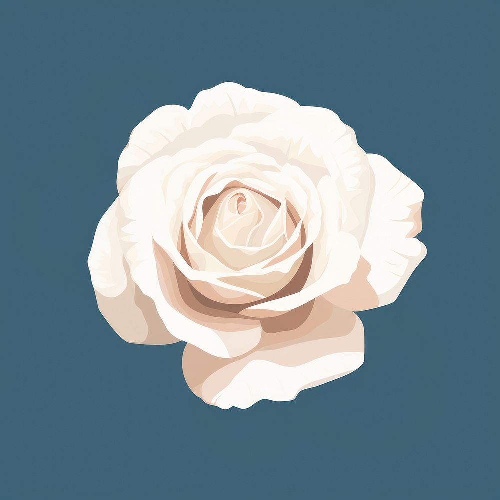 White rose petal flower plant inflorescence. AI generated Image by rawpixel.