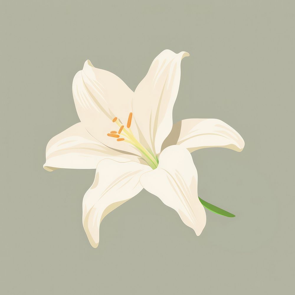 Lily petal flower plant inflorescence. | Free Photo Illustration - rawpixel