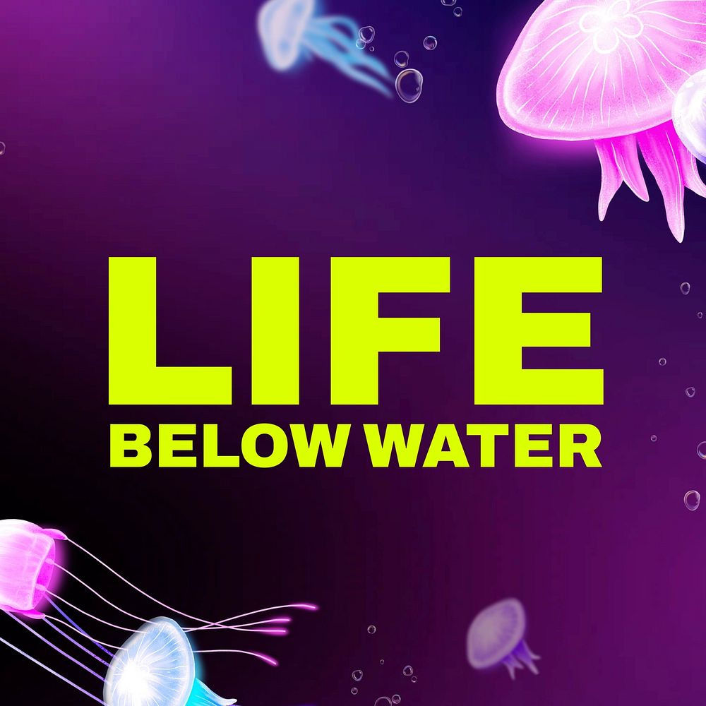 Life below water  Instagram post template