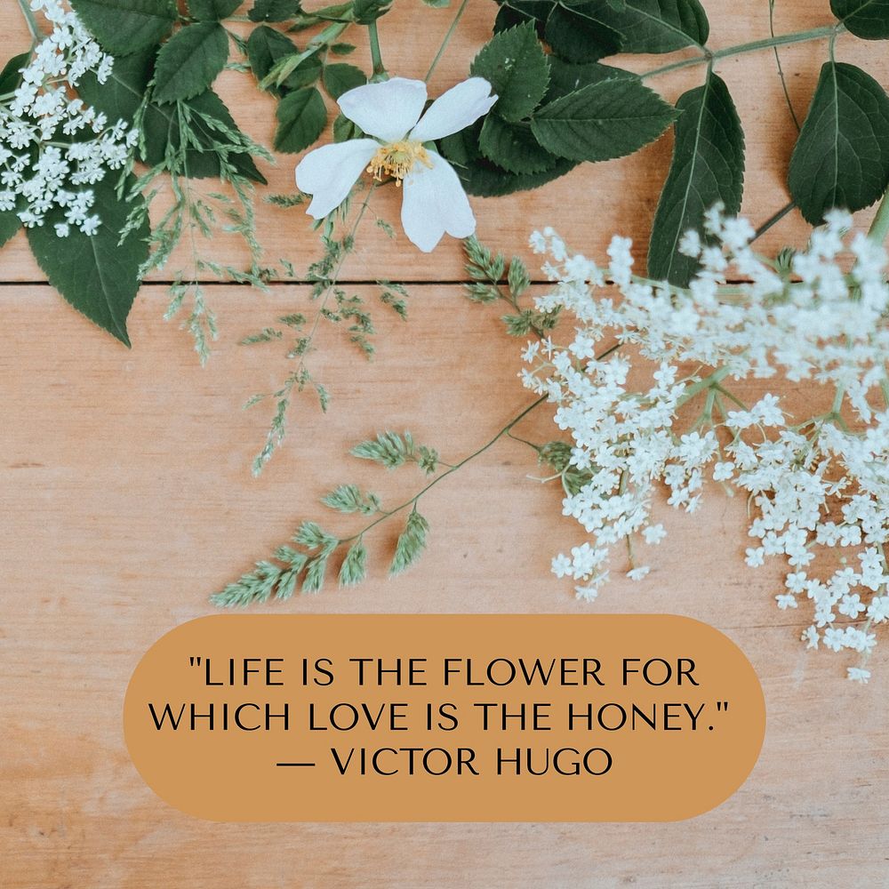 Victor Hugo quote  Instagram post template