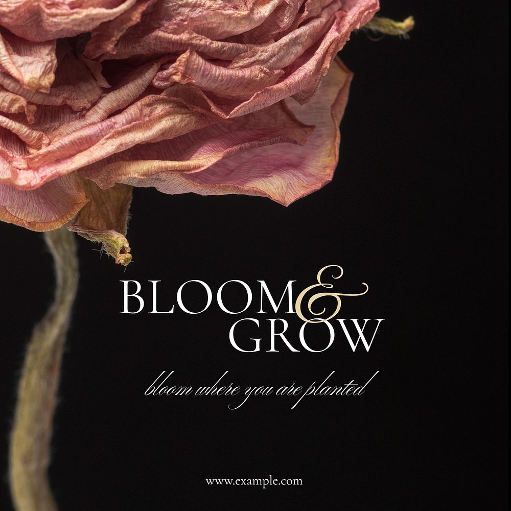 Bloom & grow   Instagram post template