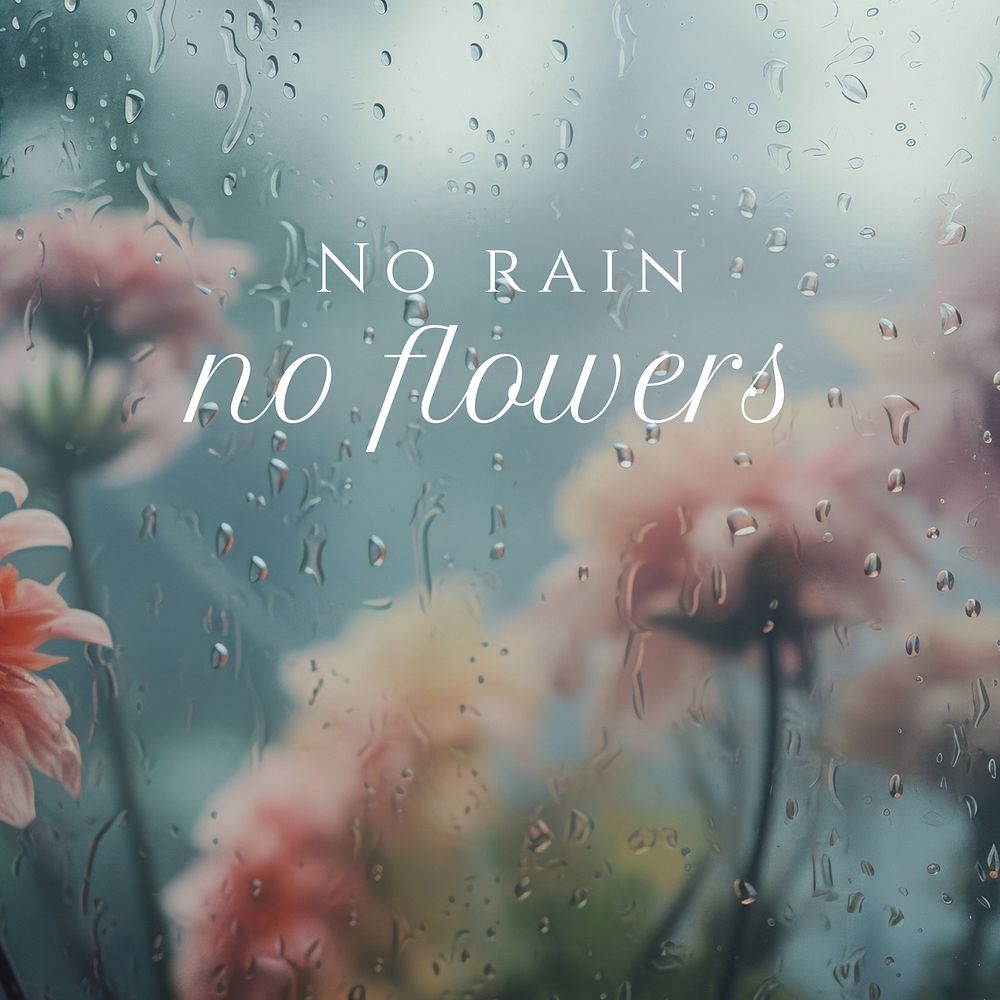 No rain no flowers  Instagram post template