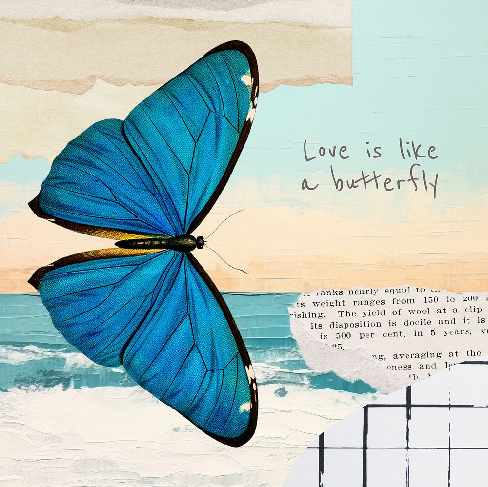 Love is like a butterfly Instagram post template