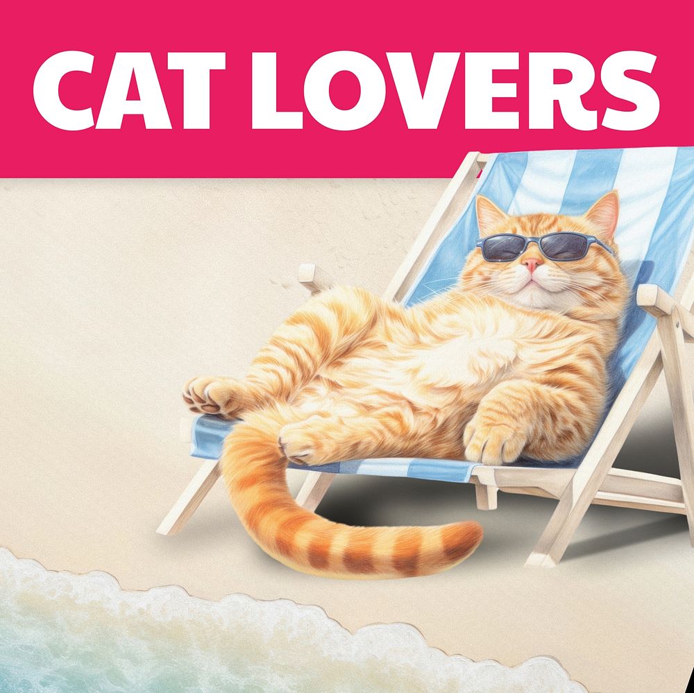 Cat lovers  Instagram post template