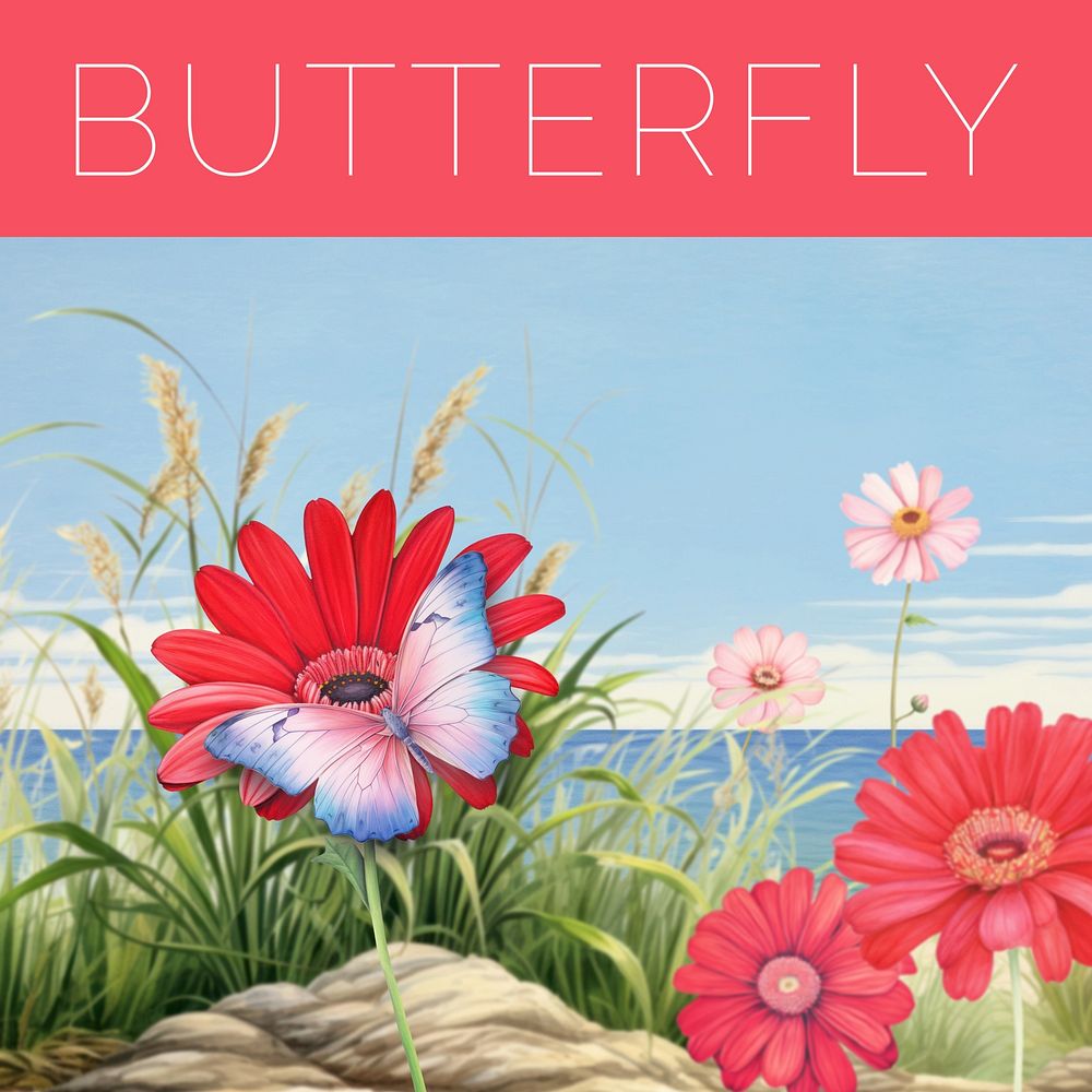 Butterfly Instagram post template Free Photo rawpixel