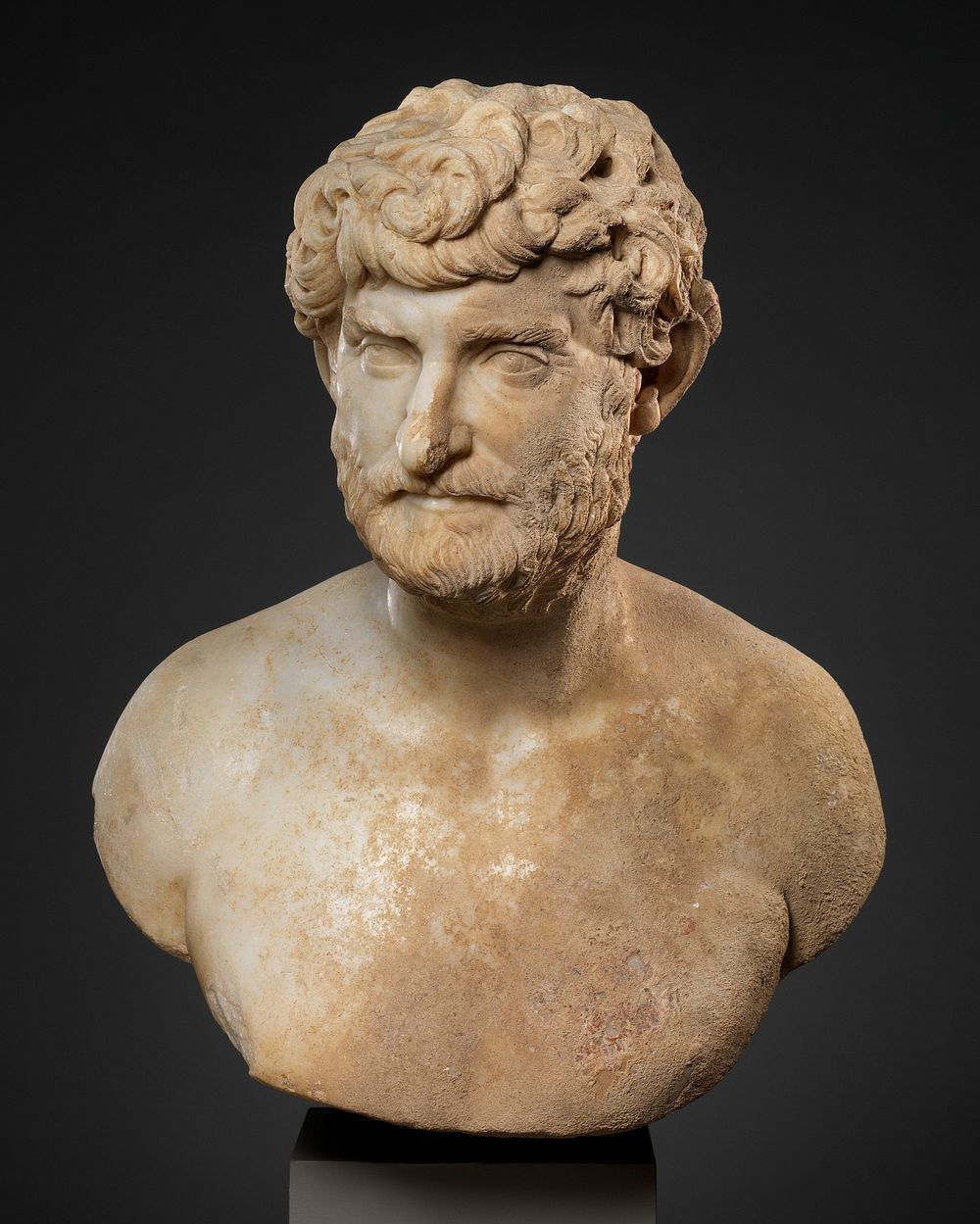 Marble bust of a bearded man