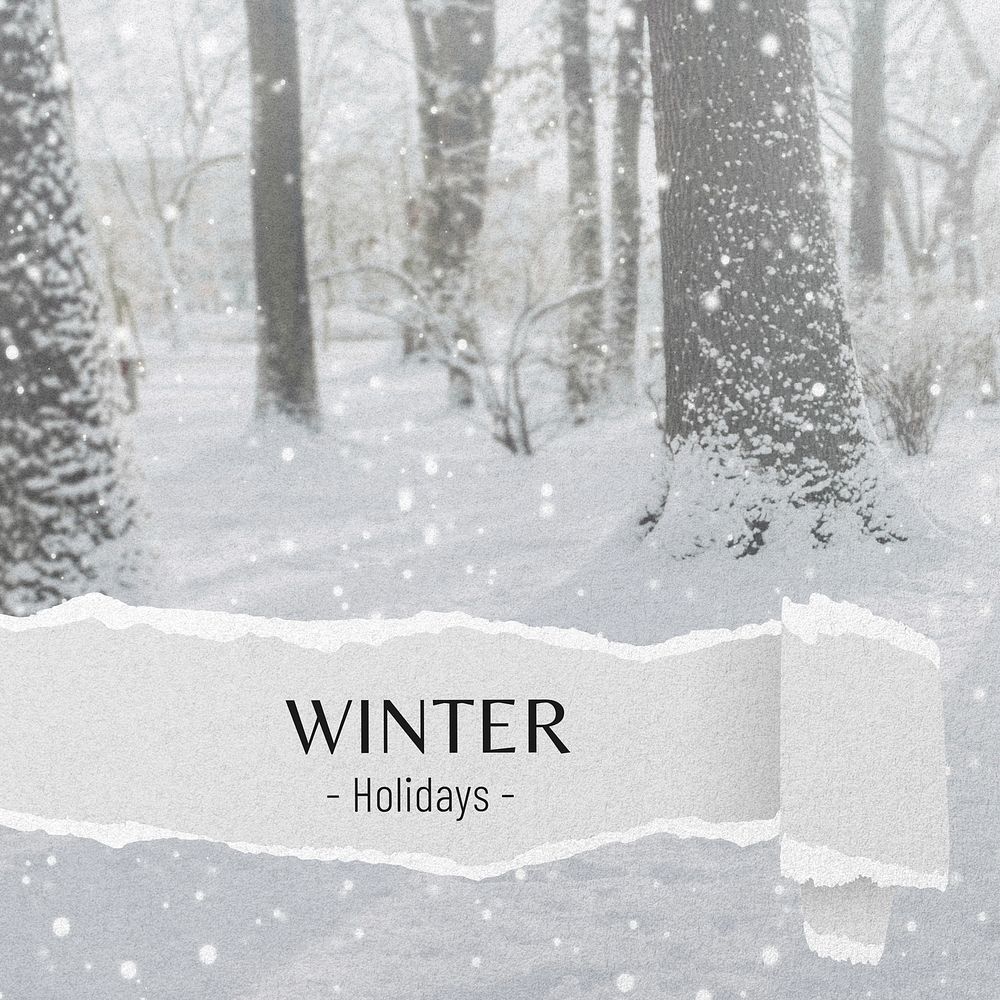 Winter holidays  Instagram post template