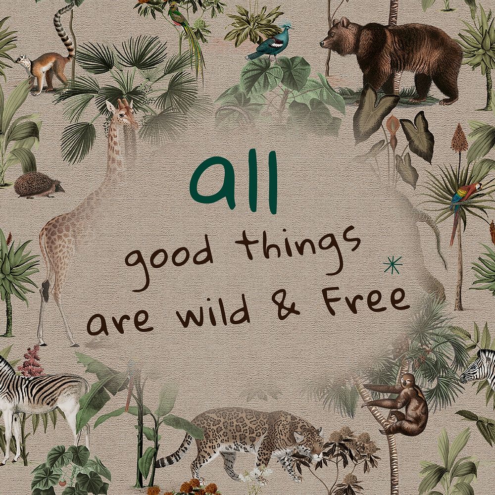Wild animals  Instagram post template