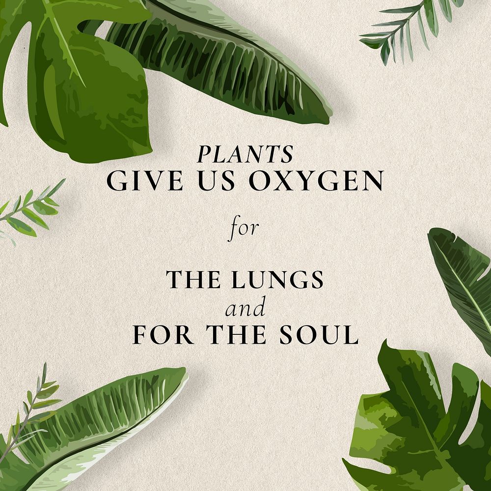 Plant quote Instagram post template Free Photo rawpixel