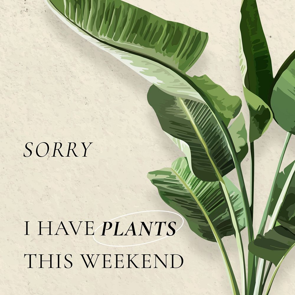 Plant pun quote Instagram post template