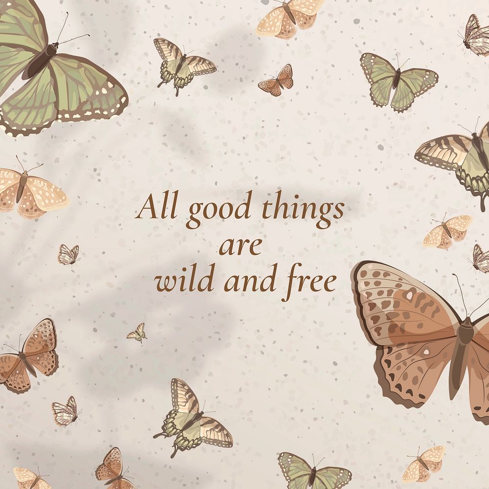 Butterfly quote  Instagram post template