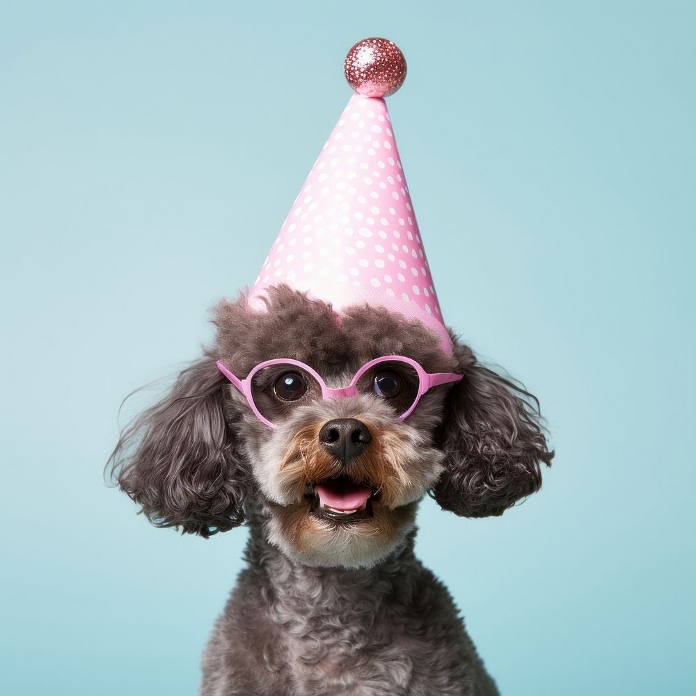 Poodle glasses portrait mammal. AI generated Image by rawpixel.