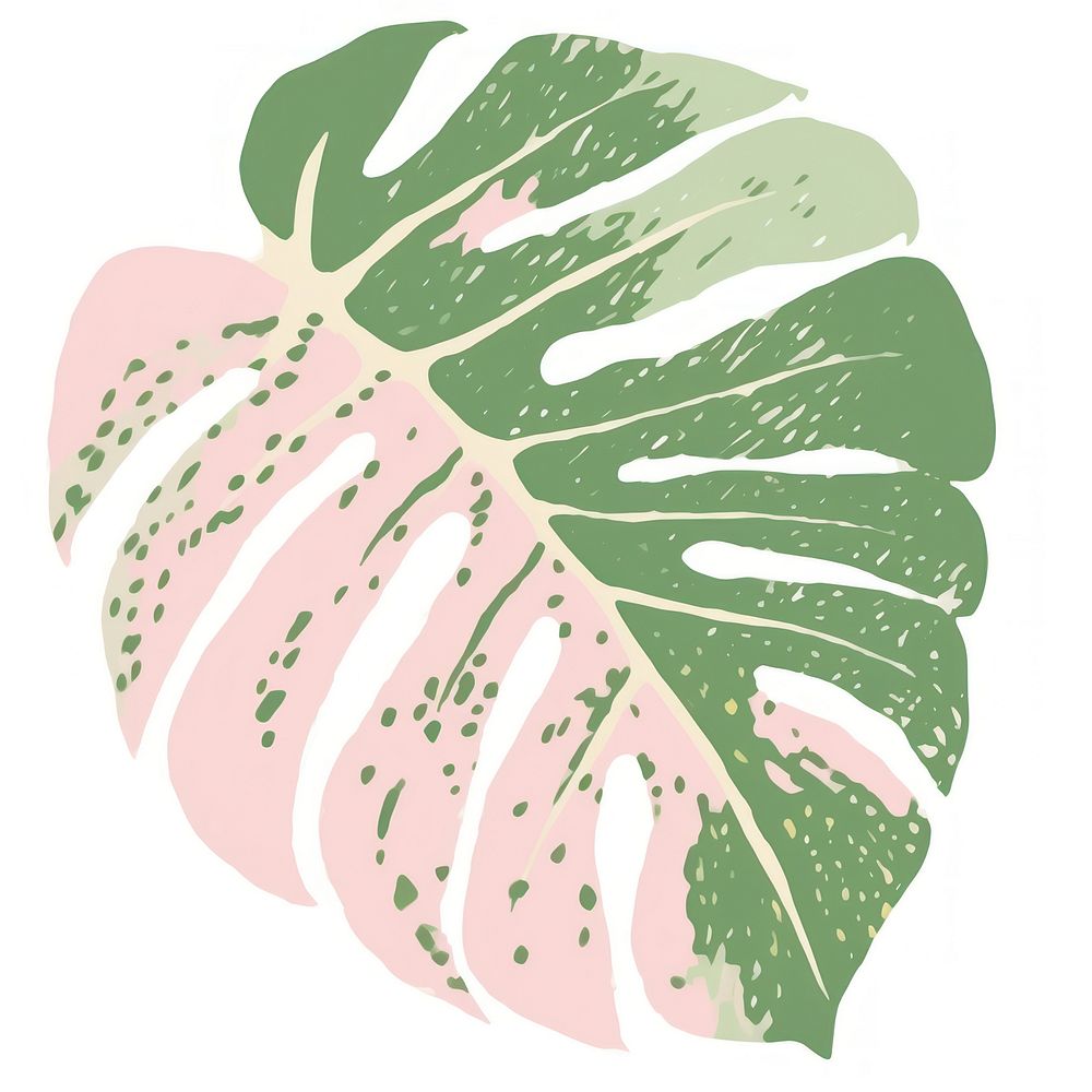 Monstera leaf plant white background pattern. AI generated Image by rawpixel.