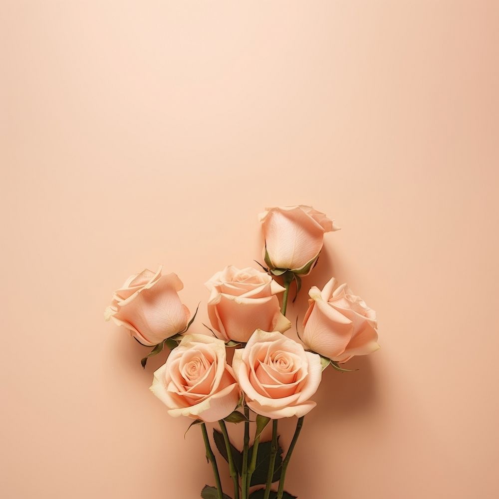 Aesthetic bouquet Peach roses flower petal plant. AI generated Image by rawpixel.
