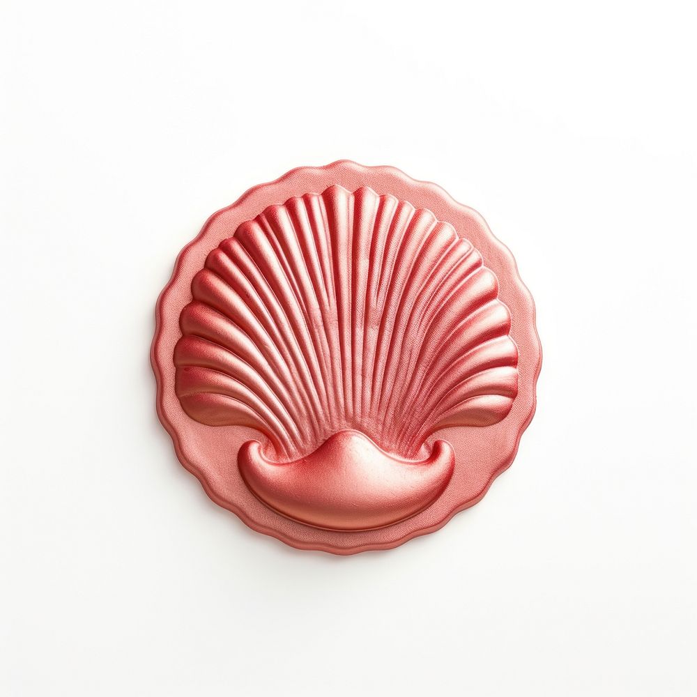 Shell seashell food white background. AI generated Image by rawpixel.