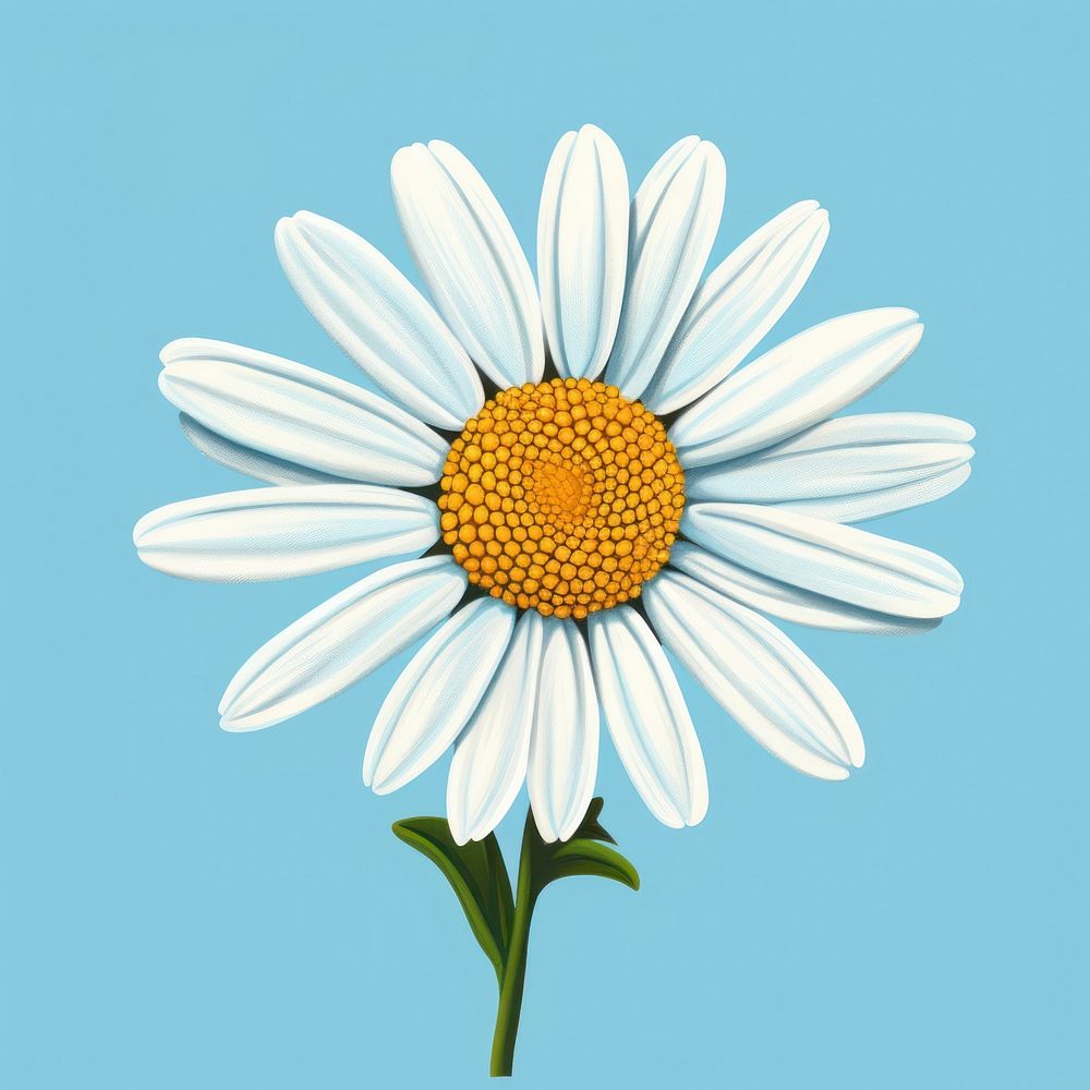 Daisy spring summer flower daisy petal plant. AI generated Image by rawpixel.