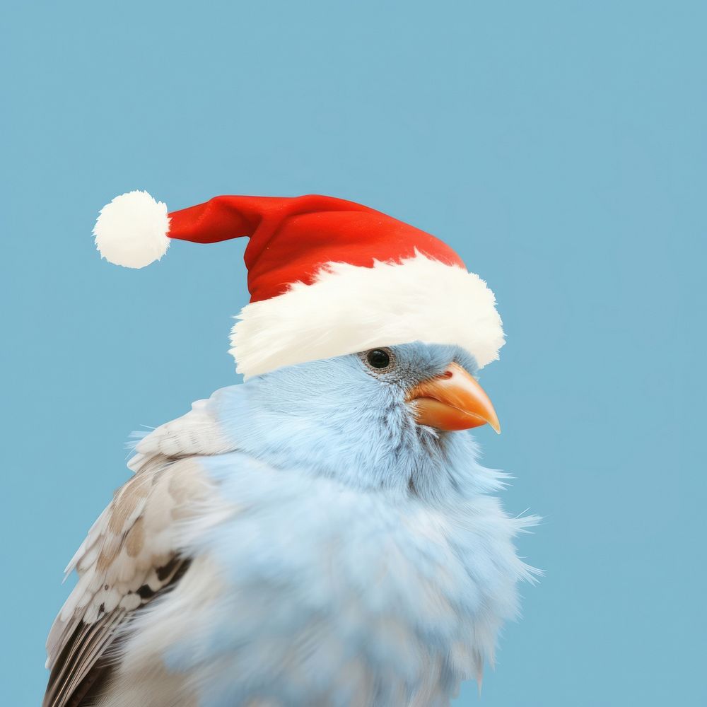 Bird animal beak blue. AI generated Image by rawpixel.