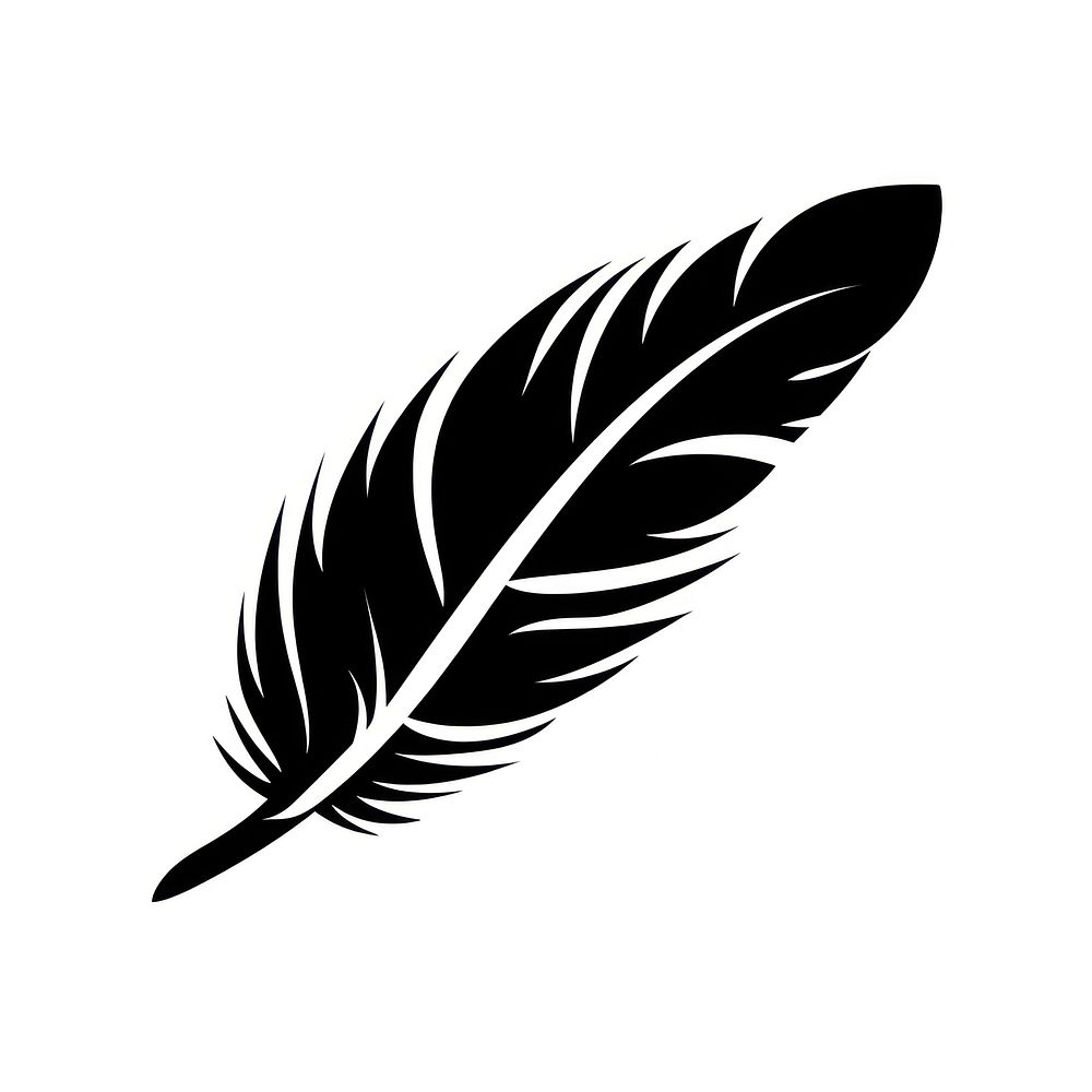 Feathers feather black white. AI generated Image by rawpixel.