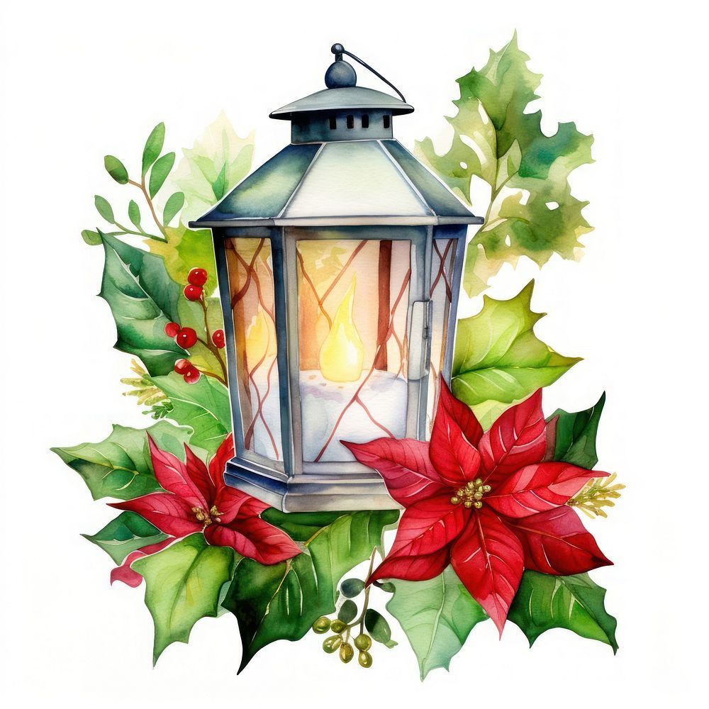 Christmas lantern flower plant holly. AI generated Image by rawpixel.