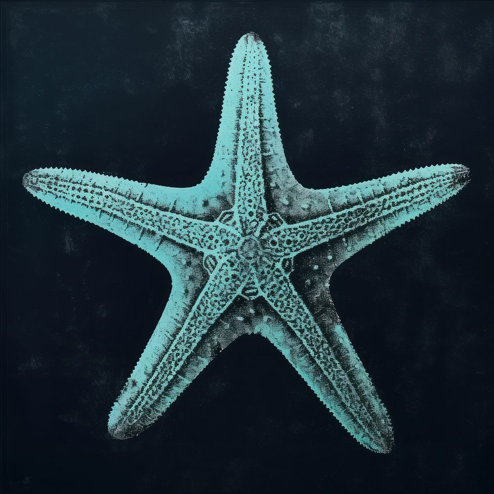 Starfish invertebrate underwater echinoderm. AI generated Image by rawpixel.