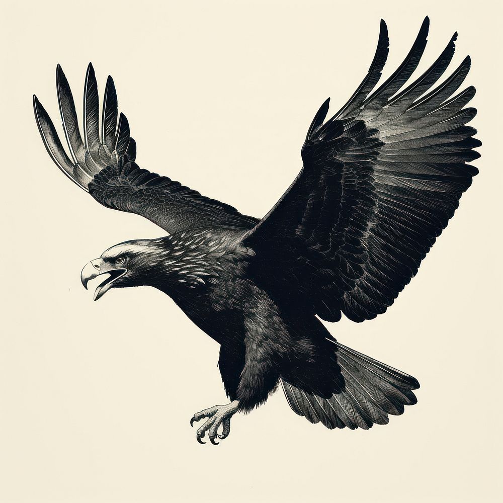 Vulture animal flying black. AI generated Image by rawpixel.
