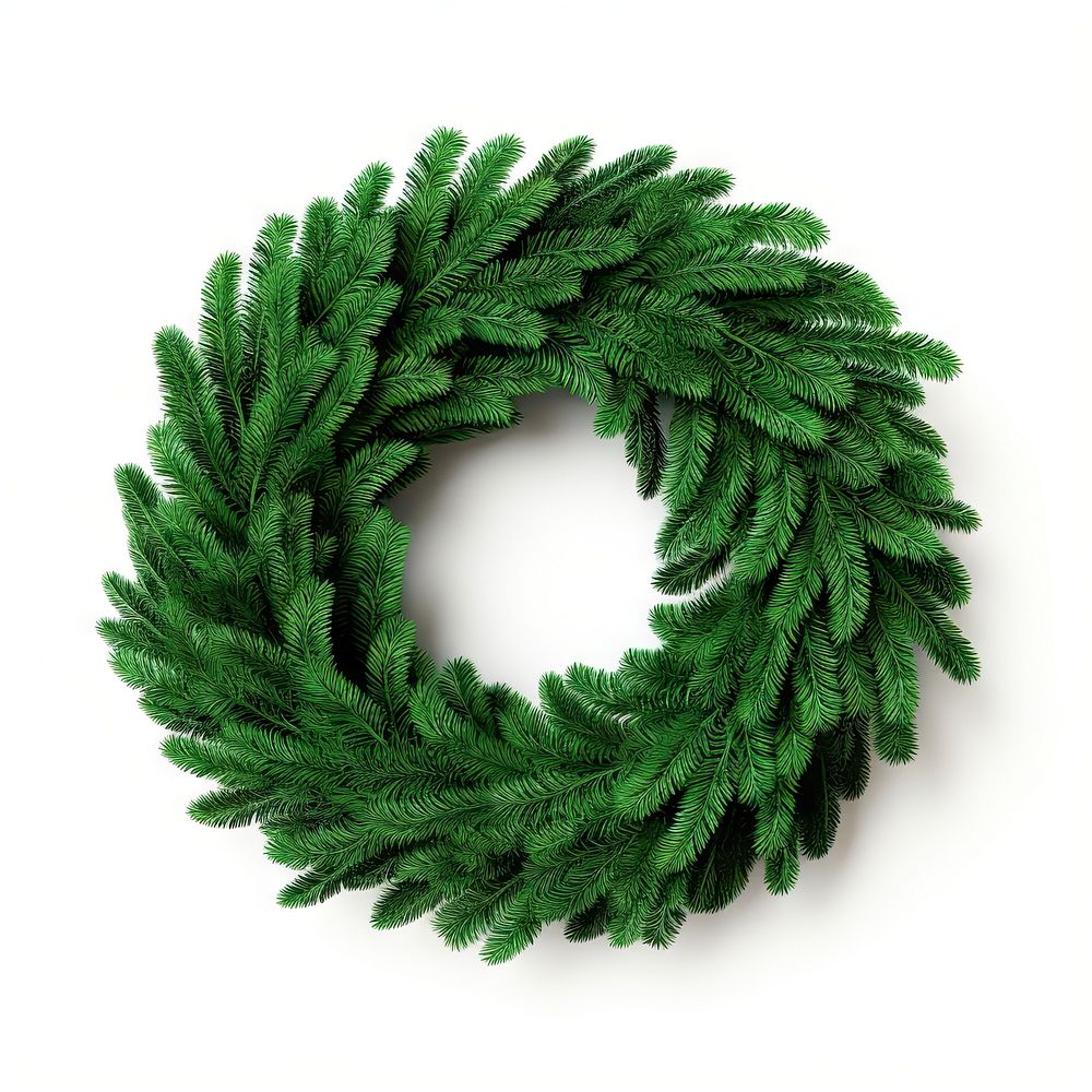 A festive green fir wreath christmas plant white background. AI generated Image by rawpixel.