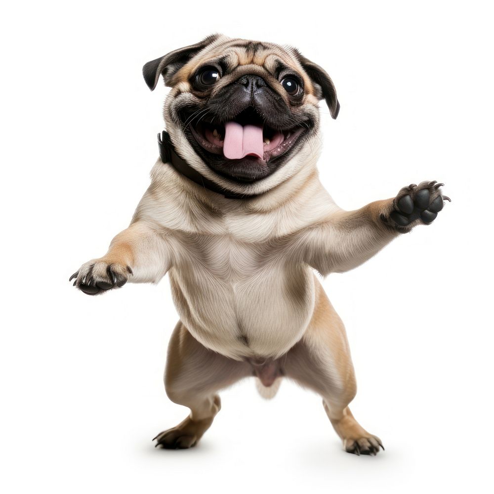 Happy smiling dancing pug mammal animal dog. AI generated Image by rawpixel.
