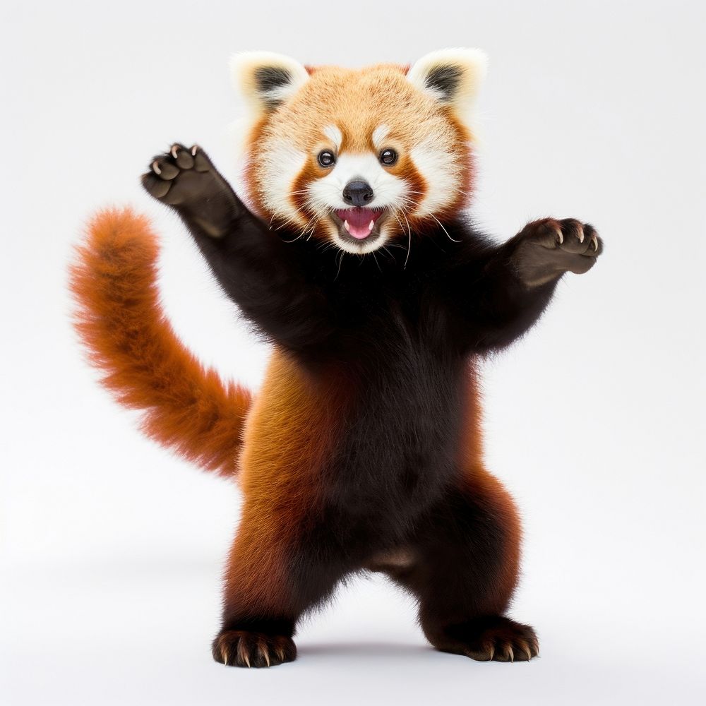 Happy smiling dancing red panda wildlife mammal animal. AI generated Image by rawpixel.