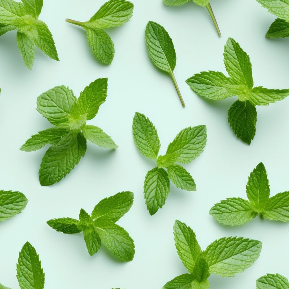 Mint leaf backgrounds plant herbs. AI generated Image by rawpixel.