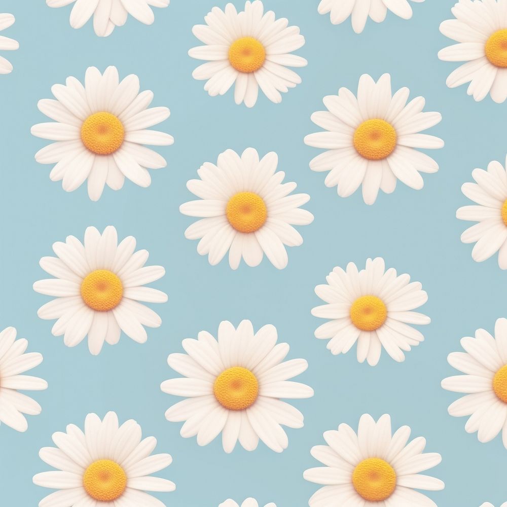 Daisy flower daisy backgrounds. 