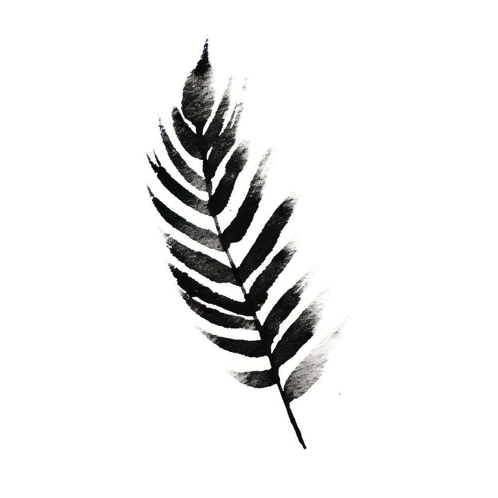 Plant leaf drawing sketch black. AI generated Image by rawpixel.