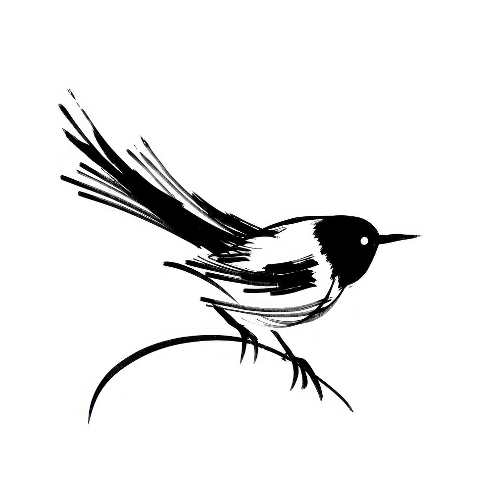 Bird animal black white. AI generated Image by rawpixel.