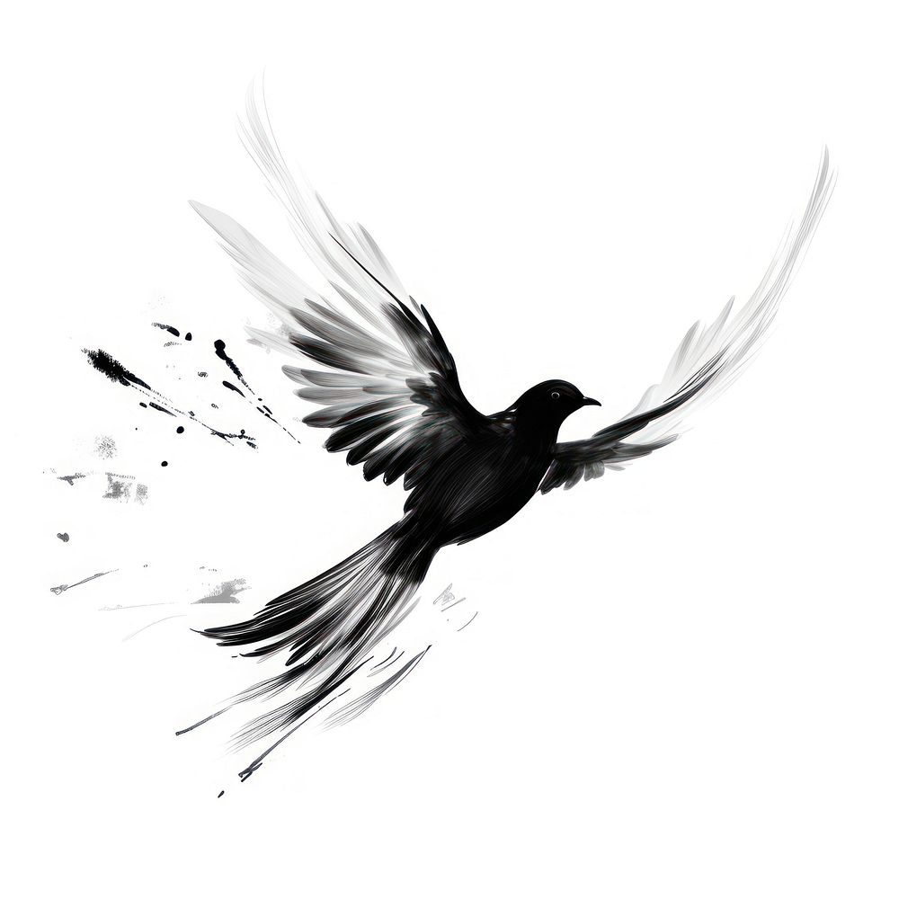 Dove bird animal flying black. | Free Photo Illustration - rawpixel