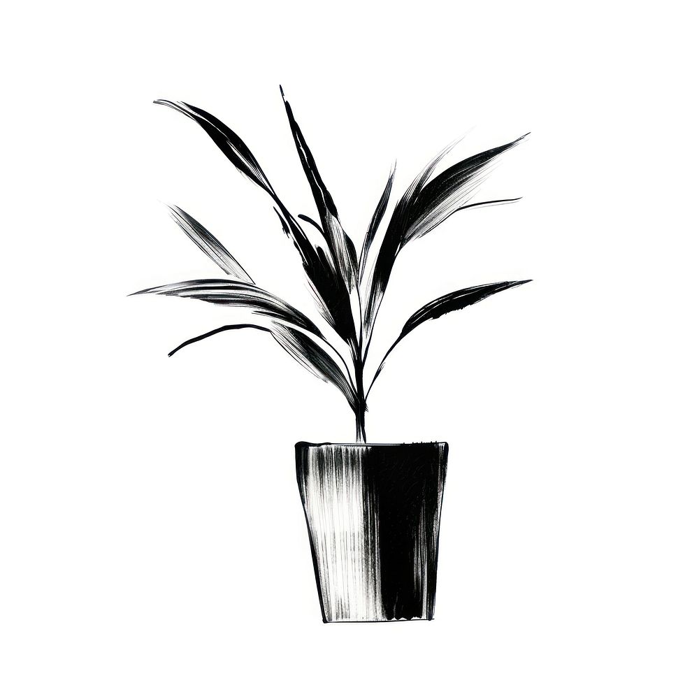 Houseplant black line white background. AI generated Image by rawpixel.