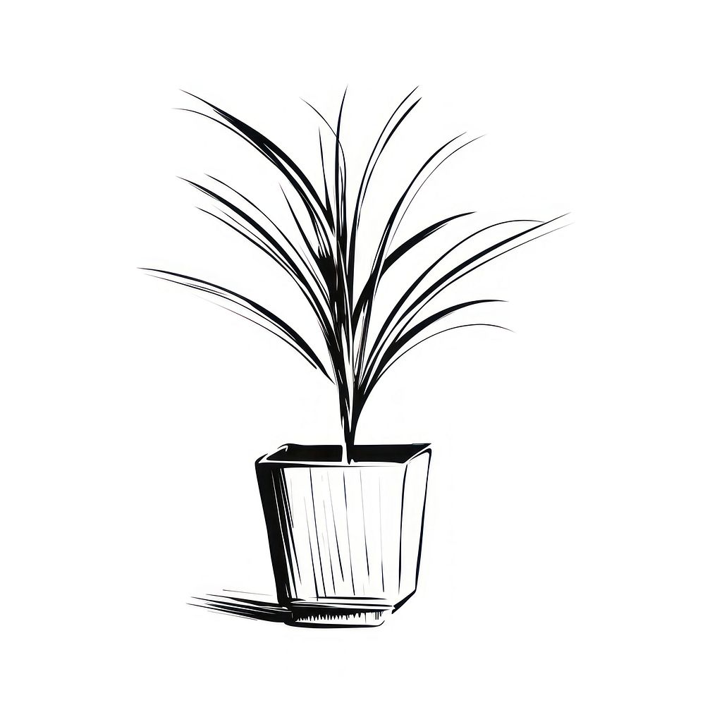 Houseplant drawing sketch white. AI generated Image by rawpixel.