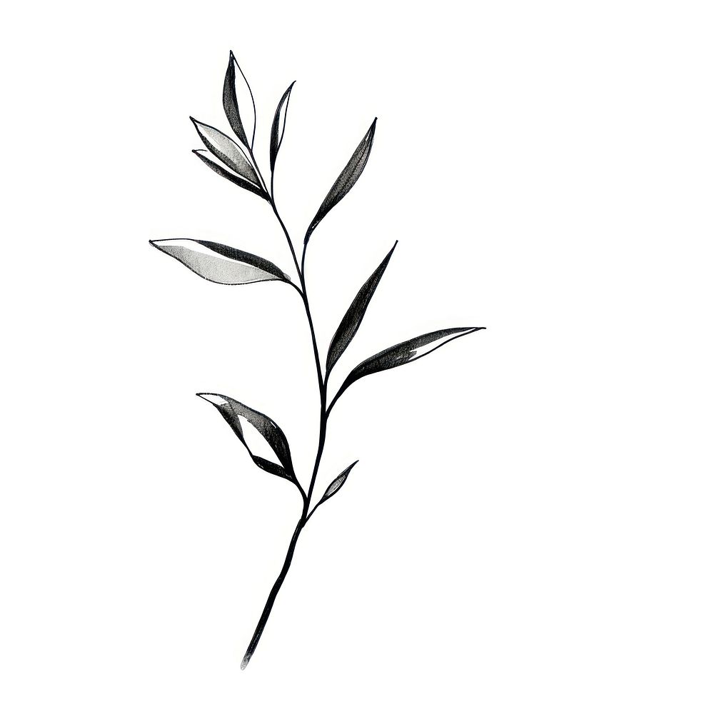 Indoor plant drawing sketch herbs. AI generated Image by rawpixel.