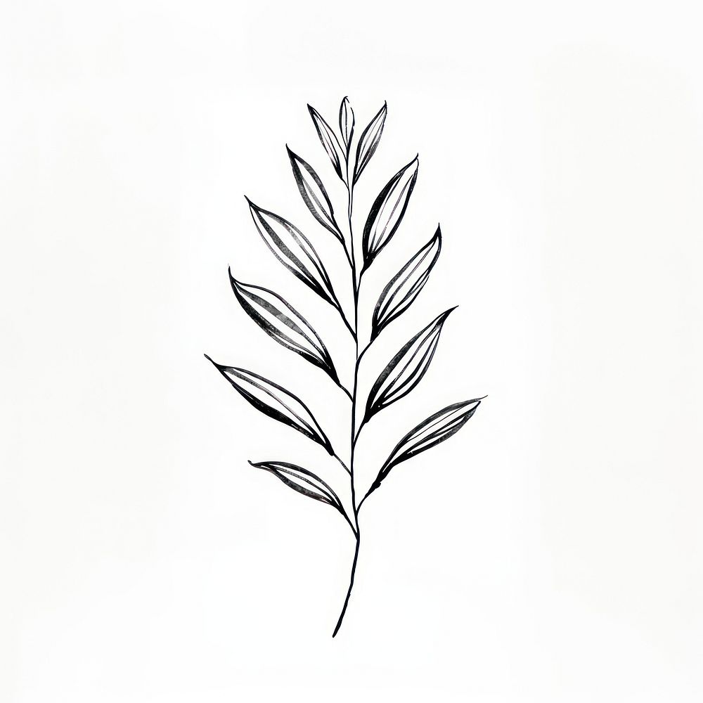 Plant leaf tree pattern drawing sketch. AI generated Image by rawpixel.