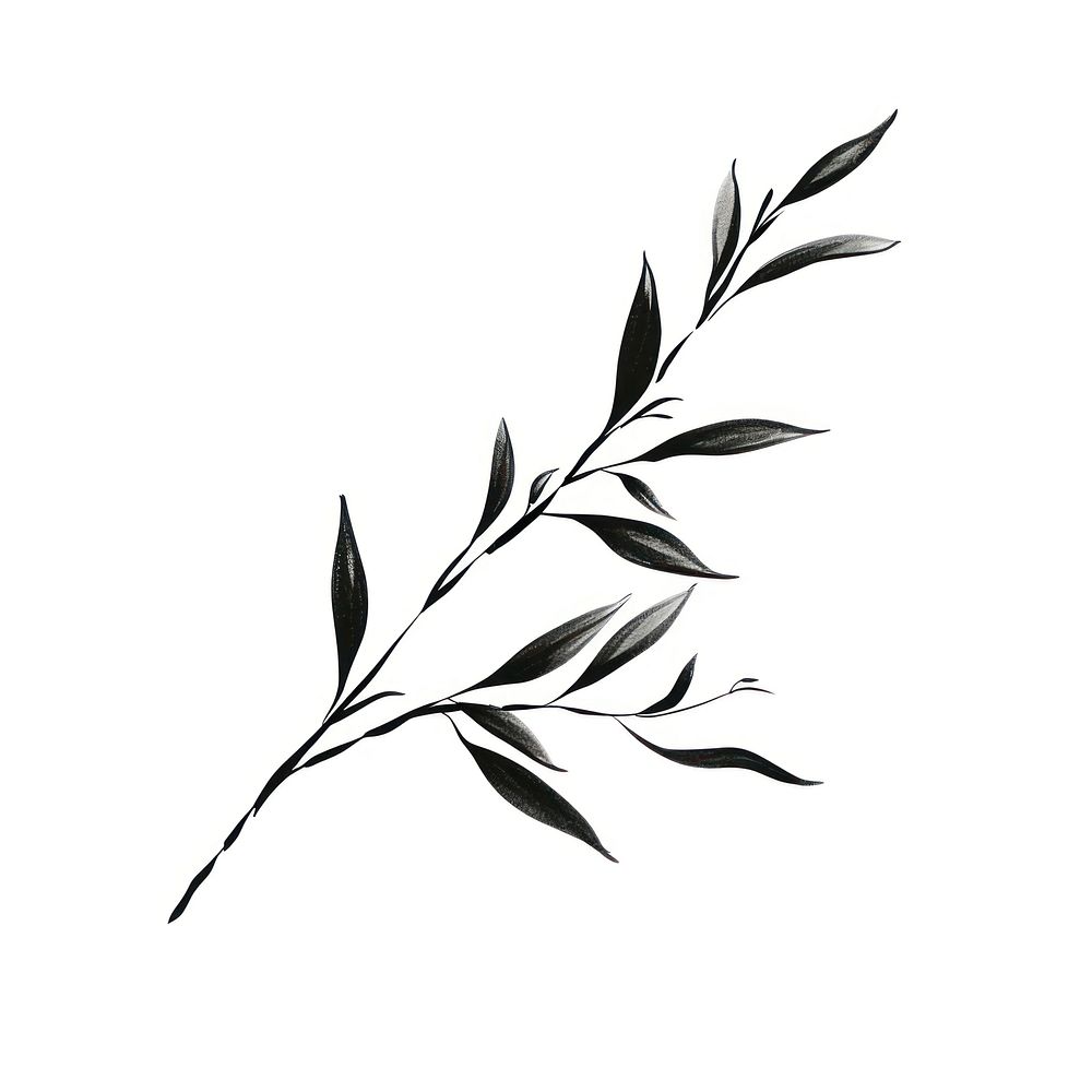 Leaves plant line white background. AI generated Image by rawpixel.