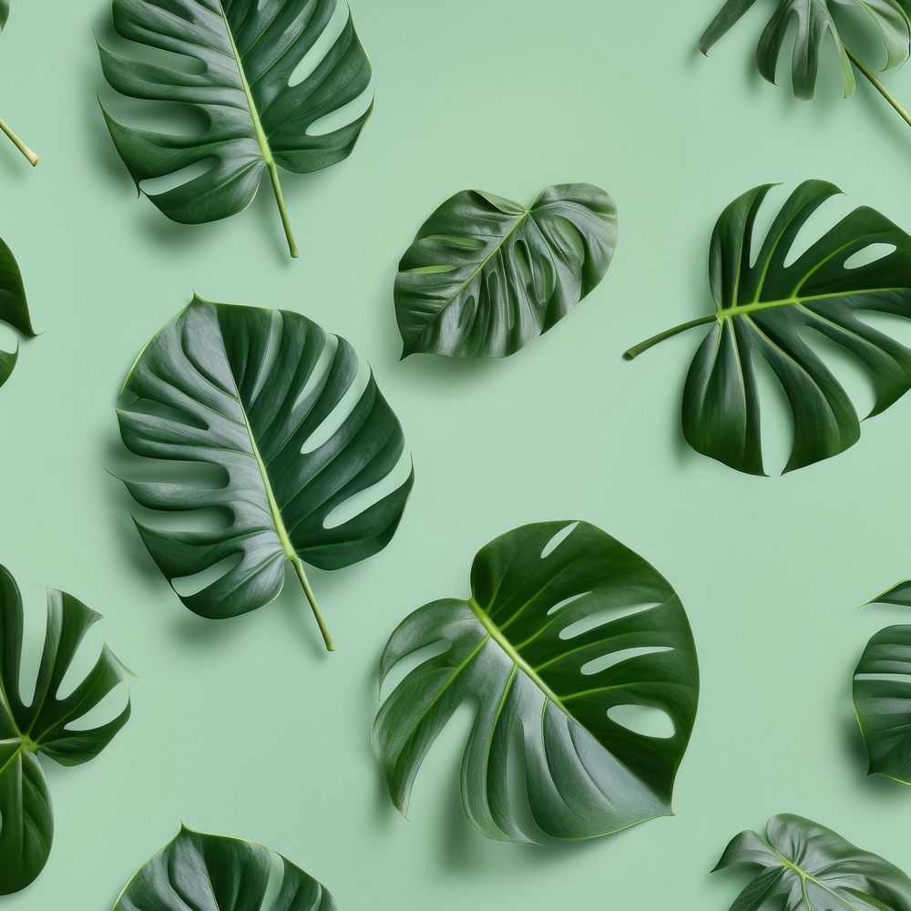 Monstera leaf backgrounds pattern plant. AI generated Image by rawpixel.