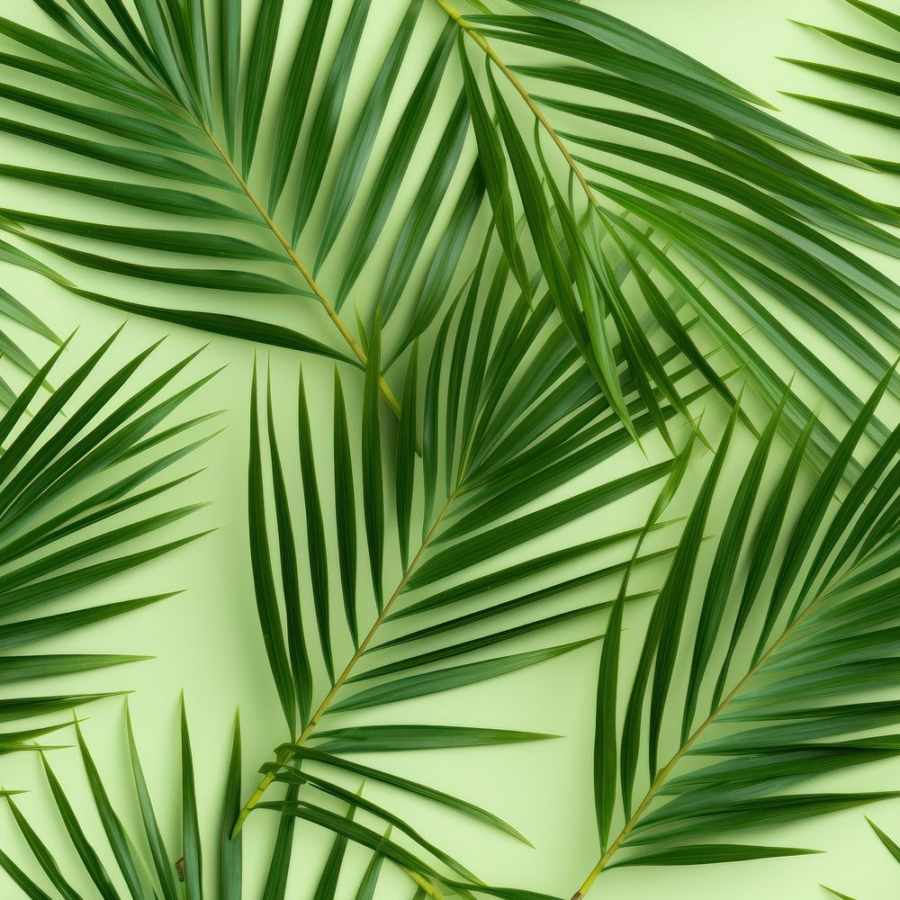 Palm leaf backgrounds pattern nature. AI generated Image by rawpixel.
