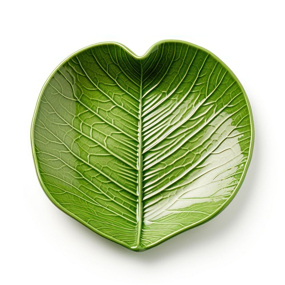 Leaf plant plate white background. AI generated Image by rawpixel.