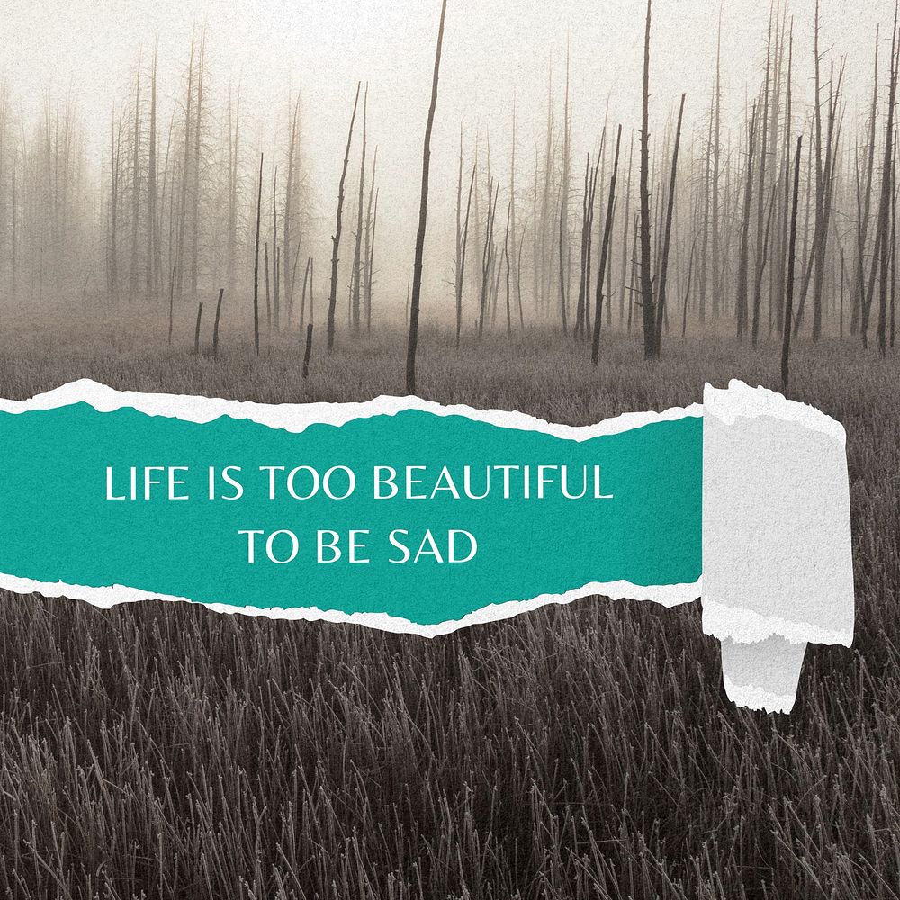 Life is too beautiful  Instagram post template