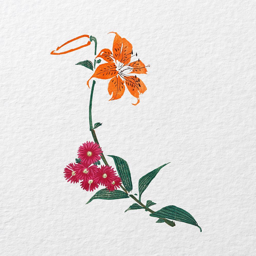 Tiger lily flower, vintage illustration. Remixed by rawpixel.