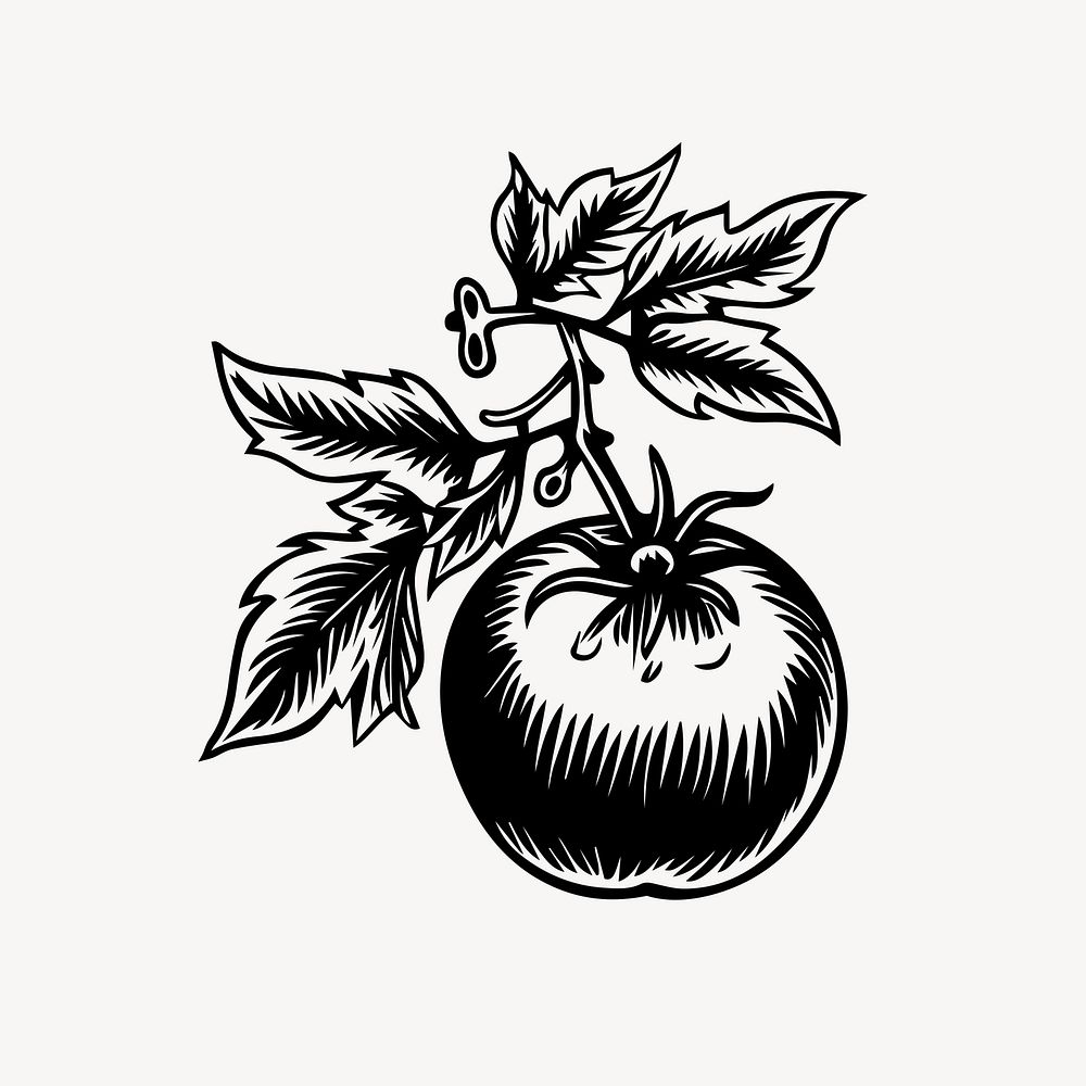 Tomato flat old school illustration vector. AI generated Image by rawpixel.