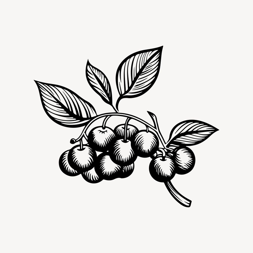 Blueberry flat old school illustration vector. AI generated Image by rawpixel.