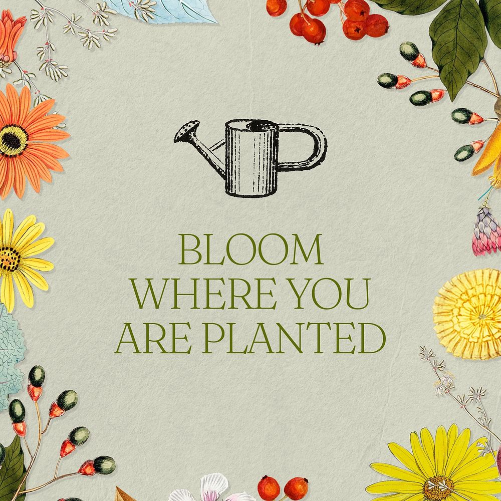 Bloom where you are planted  Instagram post template