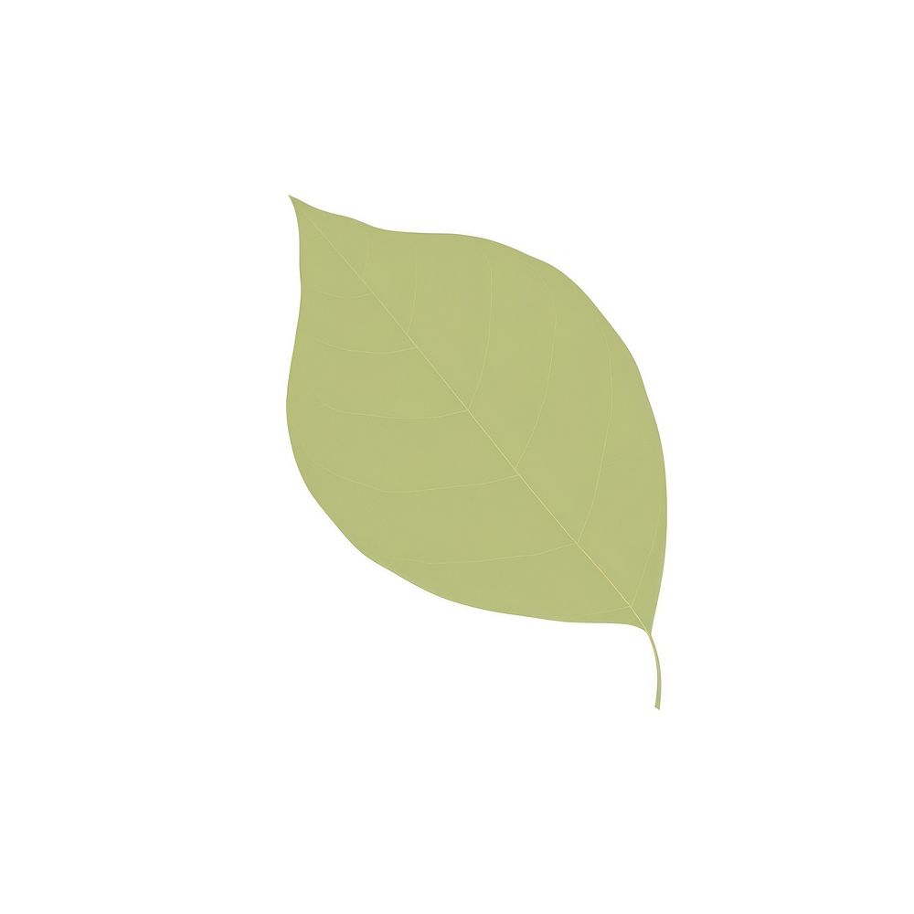 Leaf plant white background yellow. AI generated Image by rawpixel.